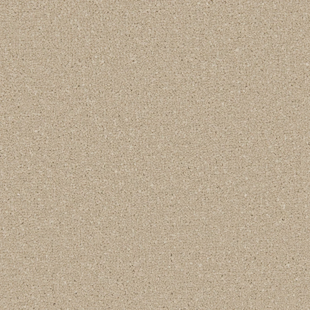 Apollo Plus