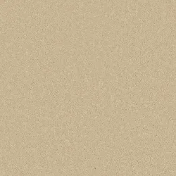 Palomino Gold