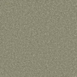 Tuscan Olive