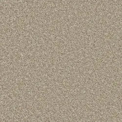 Manhattan Taupe
