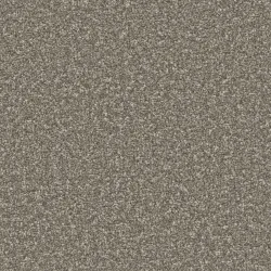 Cinder Grey