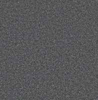 Midnight Bark (2341)