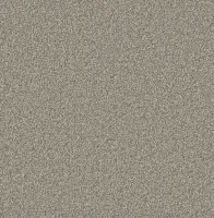Silver Birch (2343)