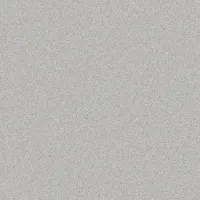 Sheep Skin (2164)