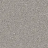 Pebble (2171)