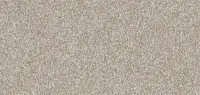 Flax (1441)