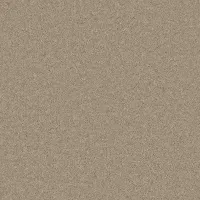 Light & Airy Tranquil Truffle (5101)