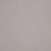 Snow Leopard (1104)