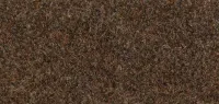 Autumn (7745)