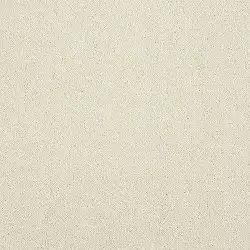 SNOWFALL 12