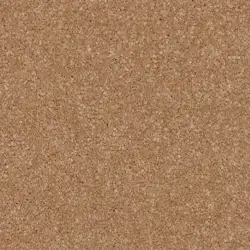ROSA BEIGE 1011