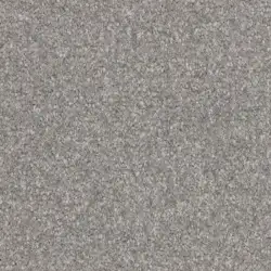 SILVER 1077